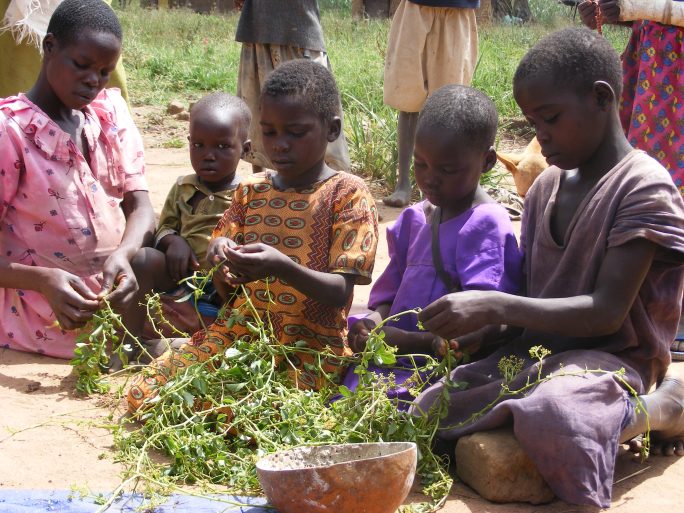 Children in Katakwi collect some vegitables. The area has been hit by famine. John Njoroge Photo